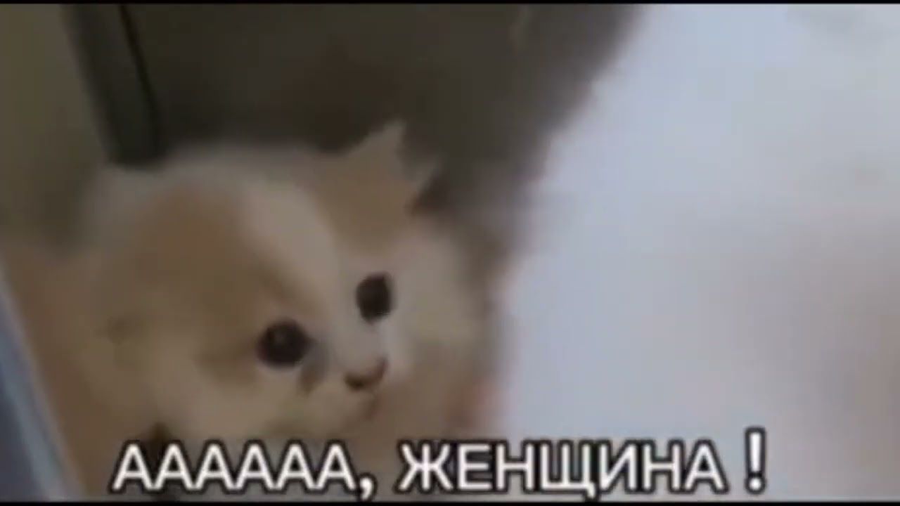 19a11d8c847ac40d71b4c3dc831597e8.jpg