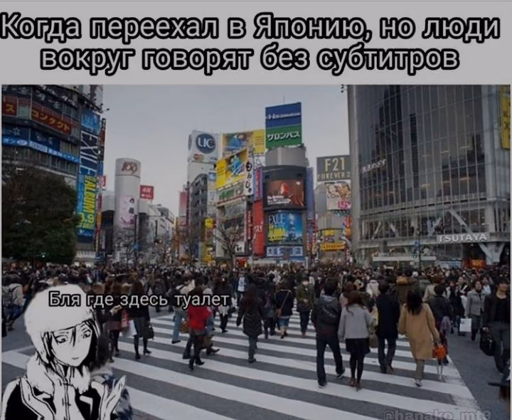 19a93cb02c88a0f6da806fbbfcbbb743.jpg