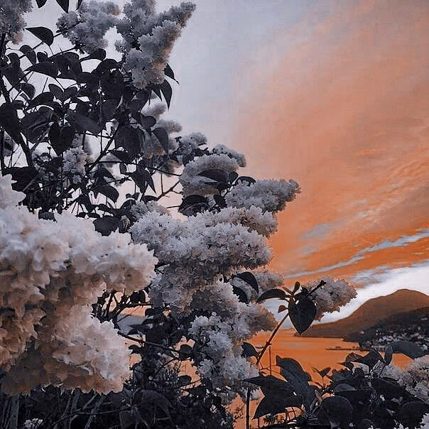 19c7d3601d08f09e2d8f492cd53e104e.jpg