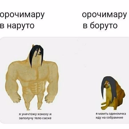19ddef0529c0fc8a6191d3218f1da2a0.avif