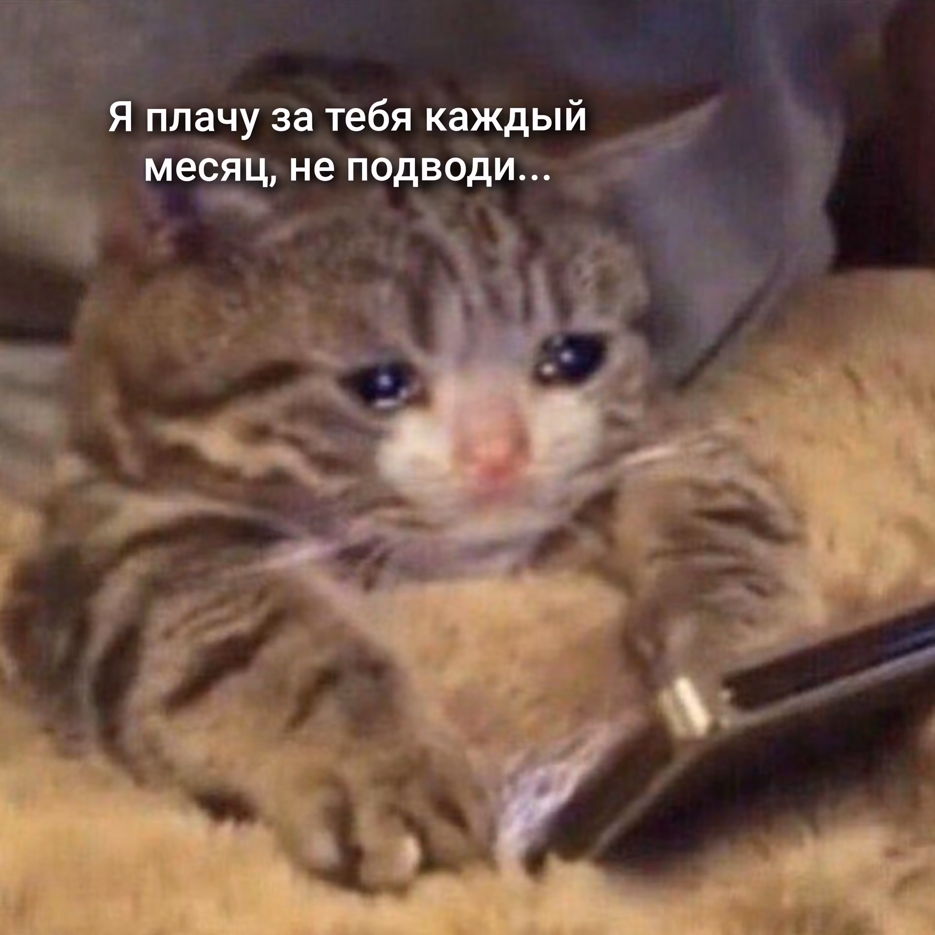 19f9276e57650efd01bd1dfb17ee54fb.avif