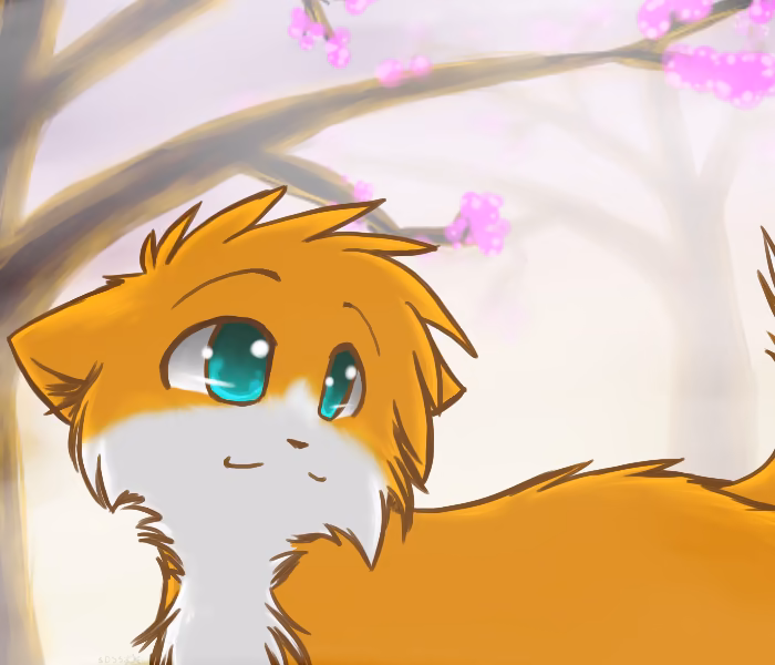 19f9acd0ce2bf09e2d2c0fc4f4a4371e.jpg