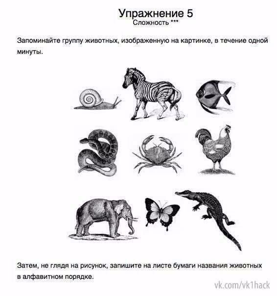 19fb8dba580ef1c274c86af24f6dc038.avif