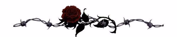 b4762e410fd35b5ed96c6bcd384dee27.jpg