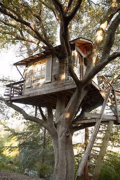 1a08a849339fed075c3f05d5ee623508.avif
