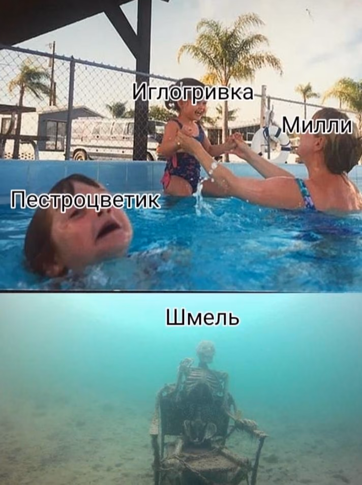 1a0a98d8f4a1bf1aacea285d24396fd8.avif
