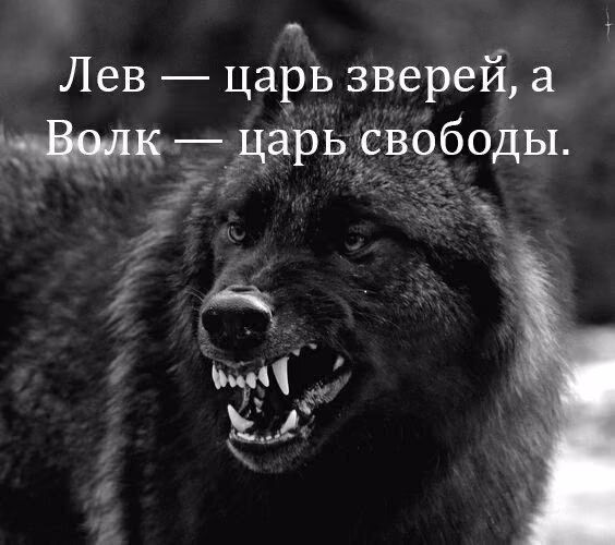 1a0ee911f161edbb60961263b3cea670.jpg
