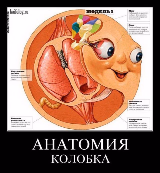 1a10152fcb639ac421a6ed154c077b27.jpg