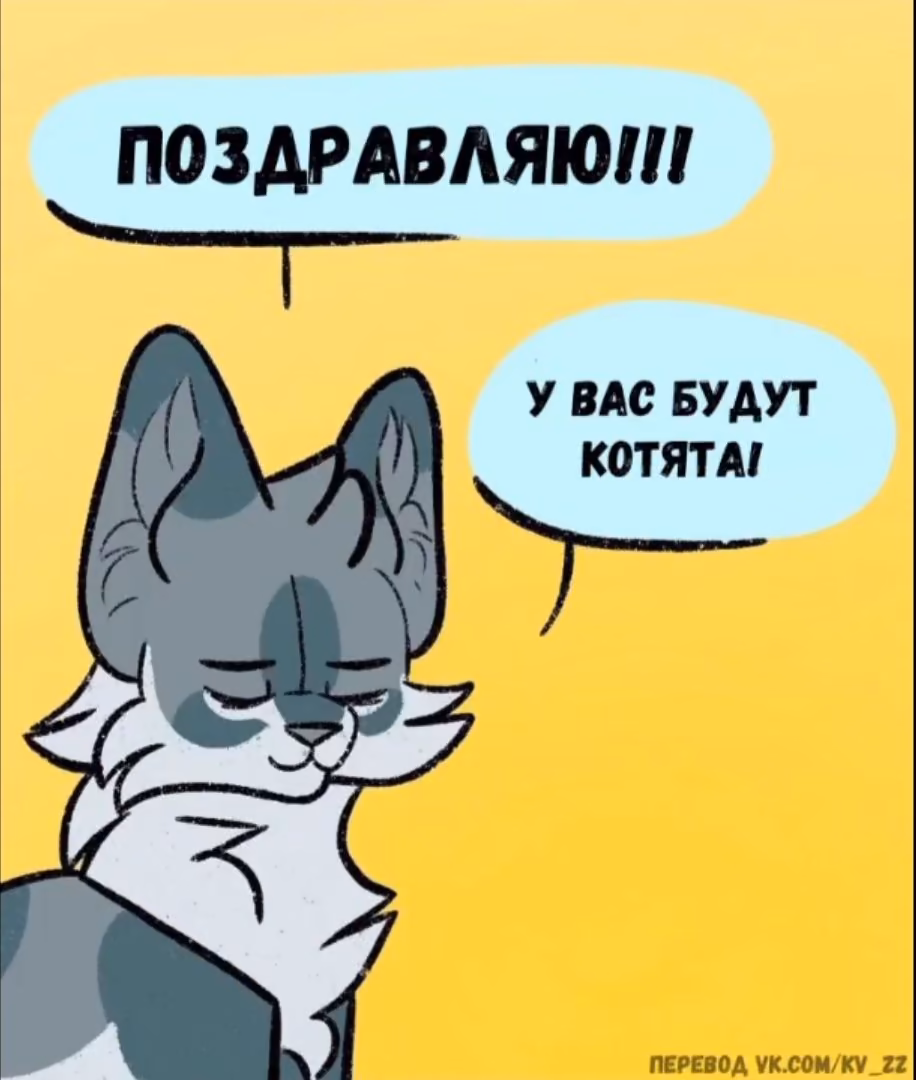 1a293d49722070a468f6cf97cbc18d32.avif