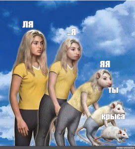 1a3748a94a8703a0171ecb8f5d590336.avif