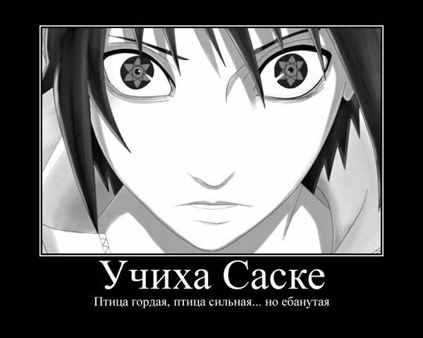 1a3e5d0e28b39fcb4a2f8b4100245ebd.avif