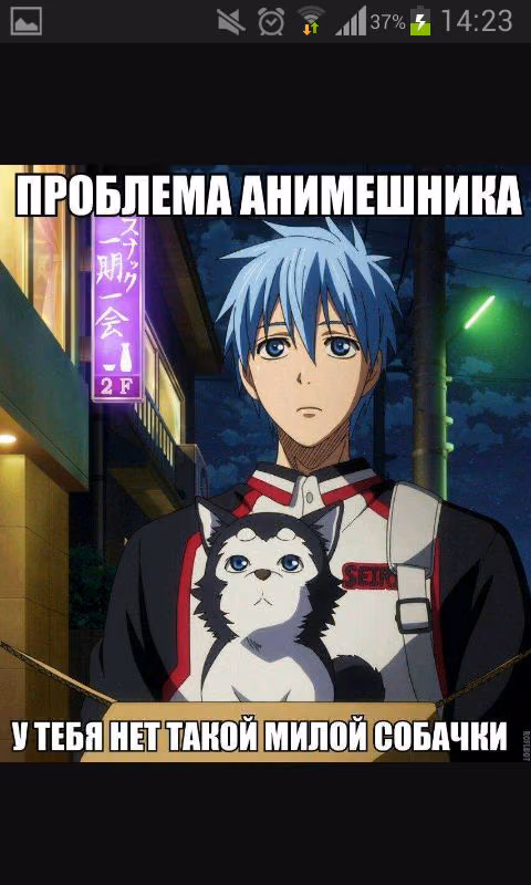 1a729d1c64faac7bd20b6764b44d36c6.jpg