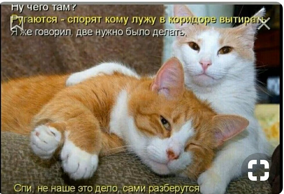 1a7778ebc549b53f2355eb1d9a8cb38e.jpg