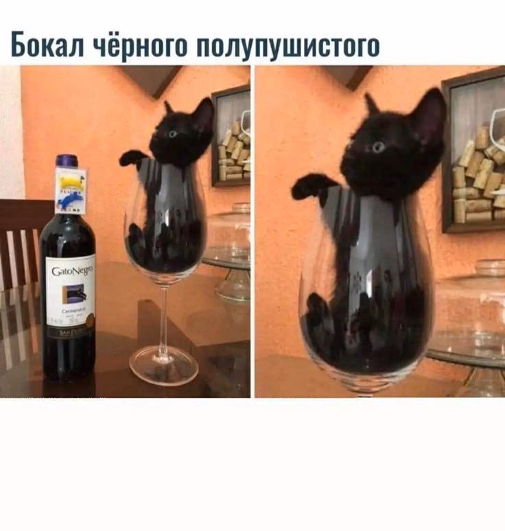 1a9657d4fa797f096c3522766db7dcbd.avif