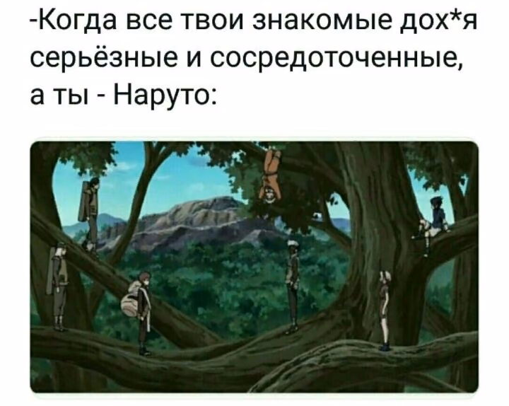 1aa5360b6283405fdeb377f2eb80d64c.avif