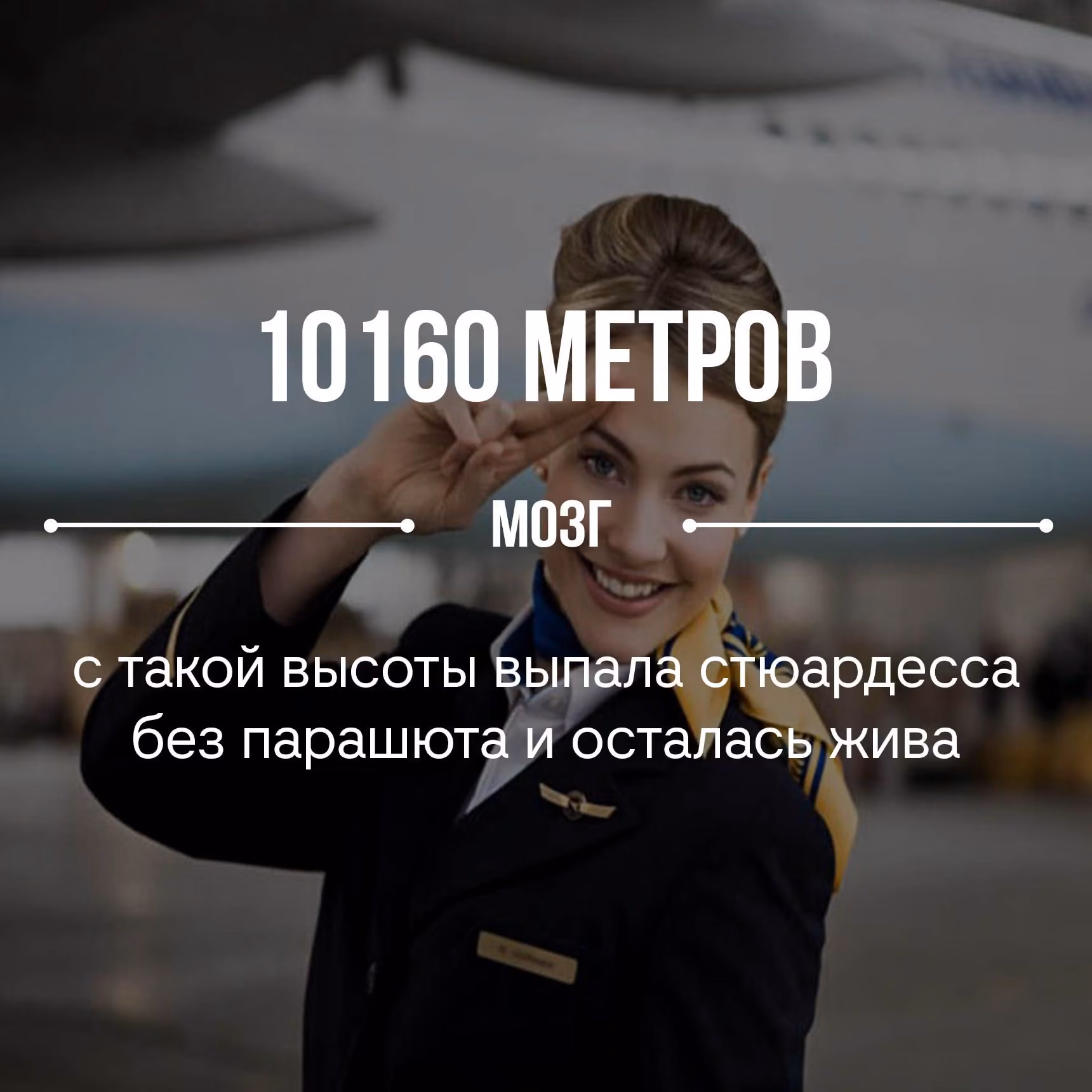 1aa6ef1bab406886cb14f6a8fe347825.jpg