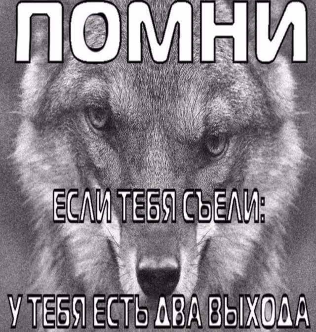 1ab2d7e7a91de9f01bf0eadbadaa24e1.avif