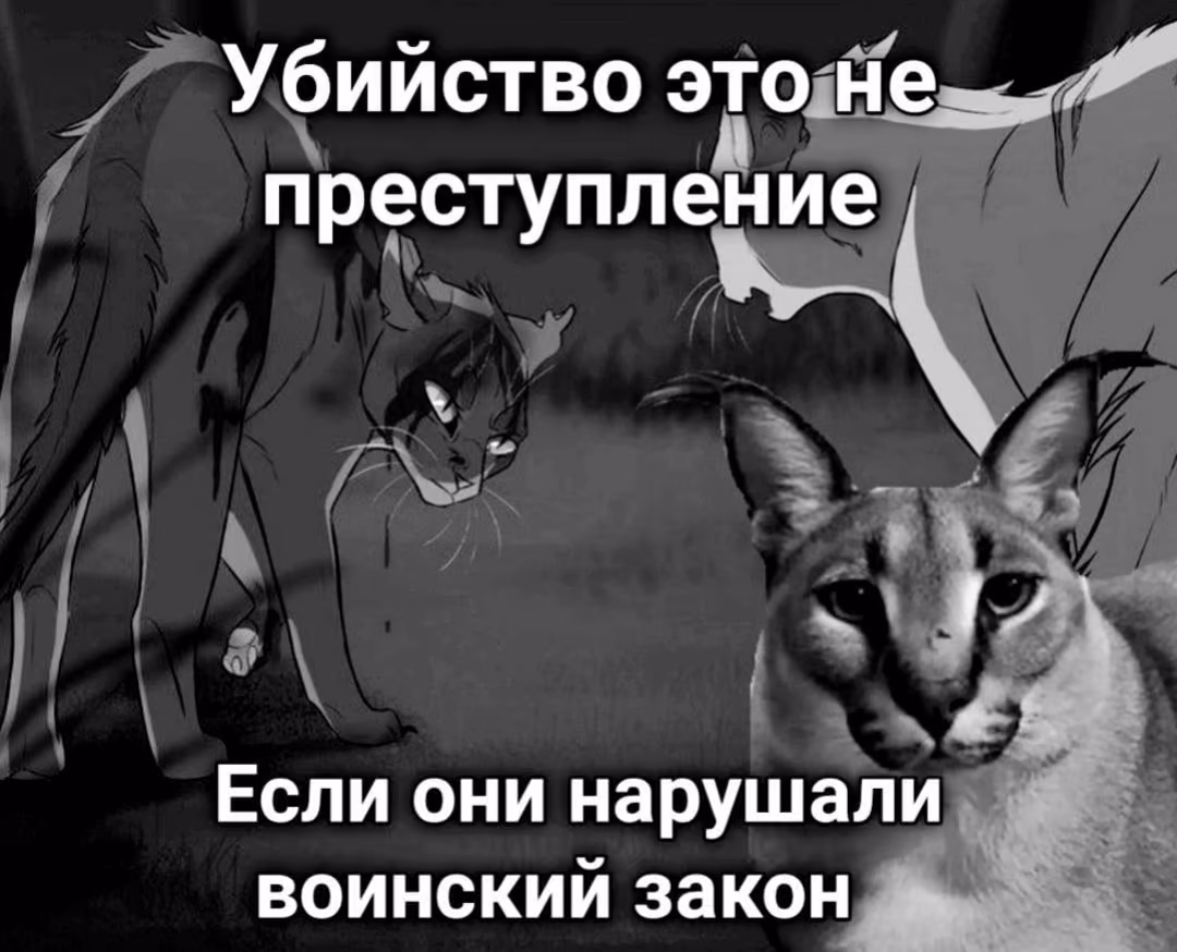 1ab56d7456c2d332d5dad08ff1345583.avif