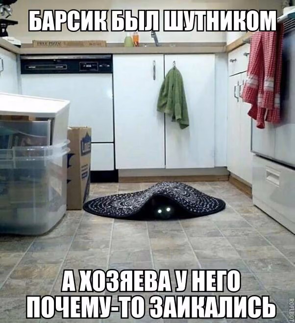 1abce5e8c5d62ae22473c4219a873c2f.jpg