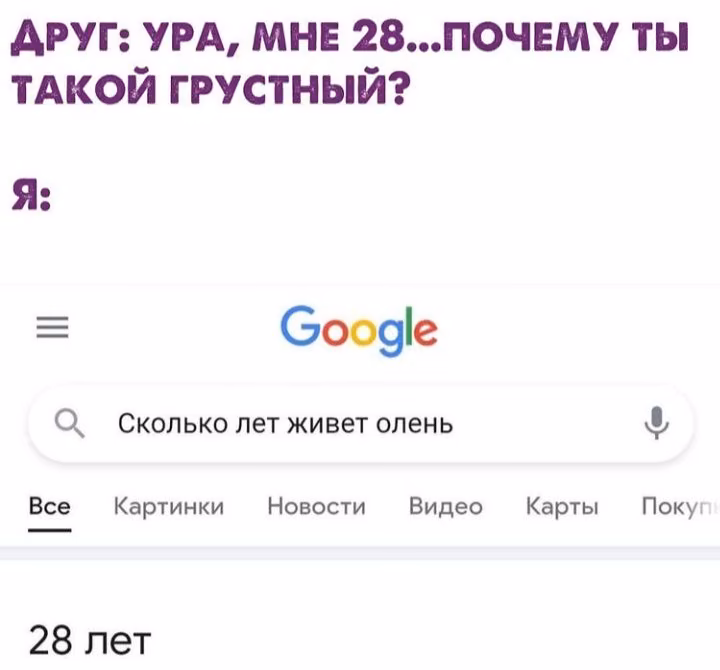 1af575cb3b5ef0f751eee1fff368386b.avif