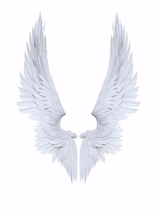 1afaaf29cc5143515ff0406f20d4c28e.avif