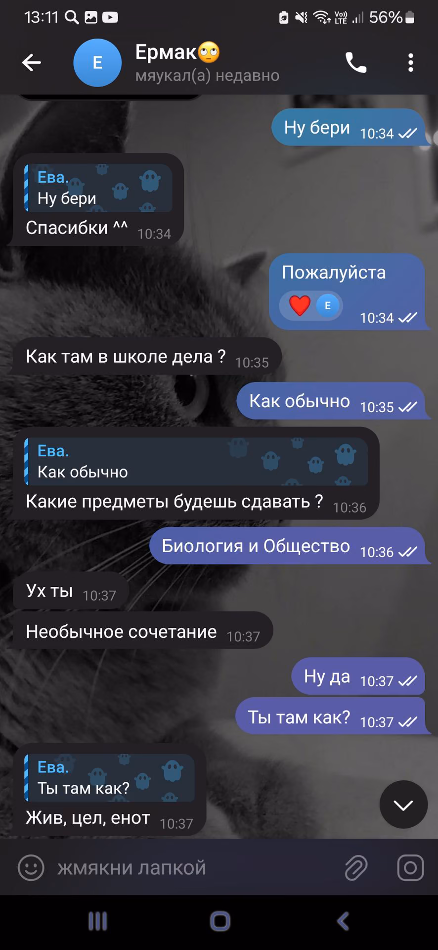 1affe6fd5da765634b2c280852106691.jpg