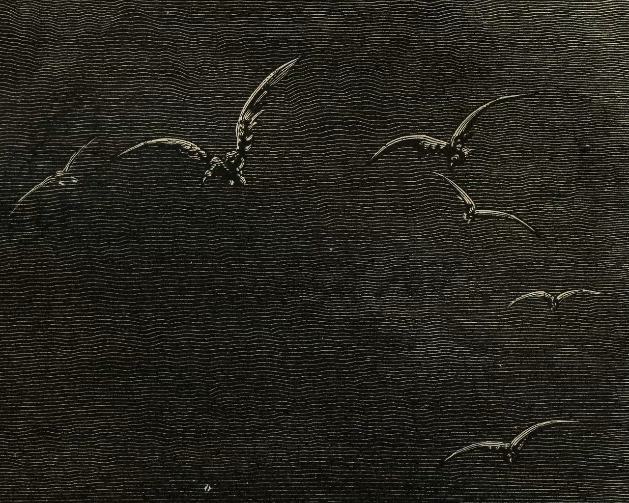 1b04d5ed518df9e173529026eec7d192.avif