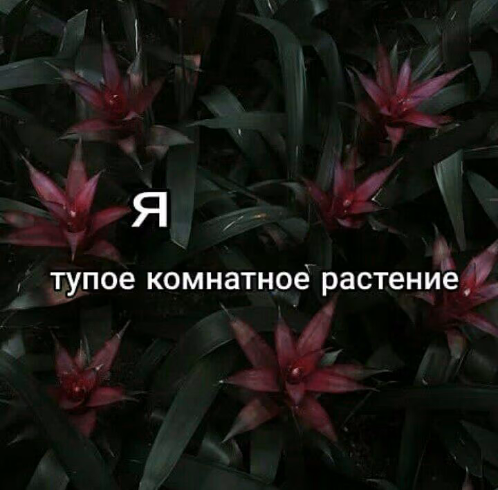 1b07365a89c8be9e44542f9c96036717.avif