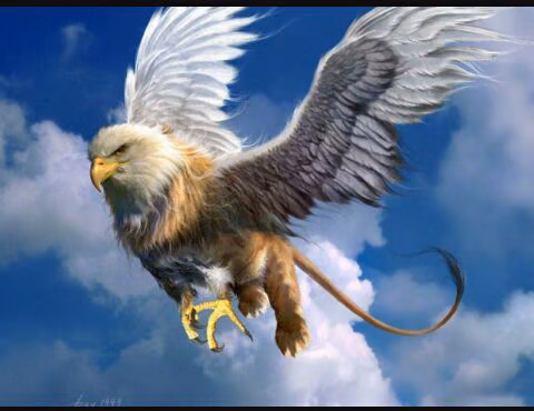 1b0dd818a4c69367411d4215e5b603b6.avif