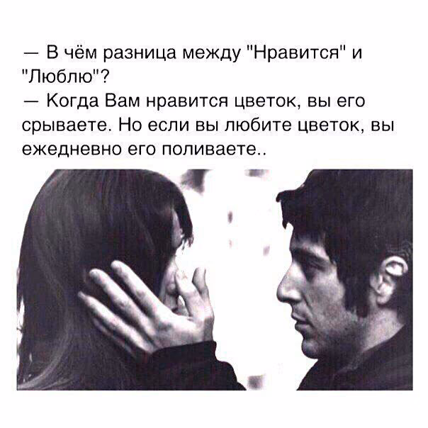 1b2923ee6c9e0de9519fb3beccd6cd6d.jpg
