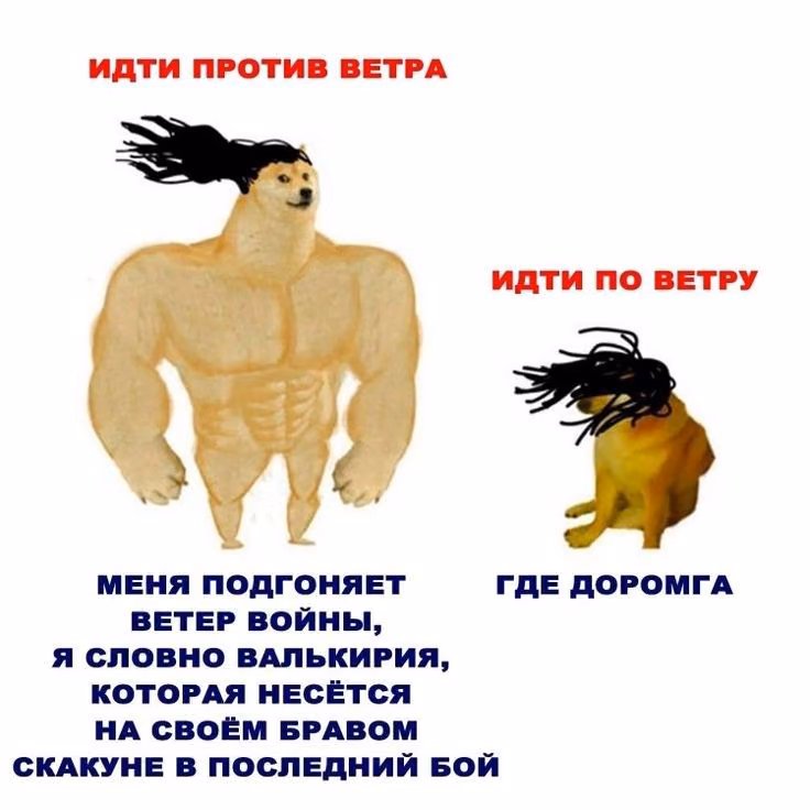 1b32dcf31ad071428afebca72b8d3a46.jpg