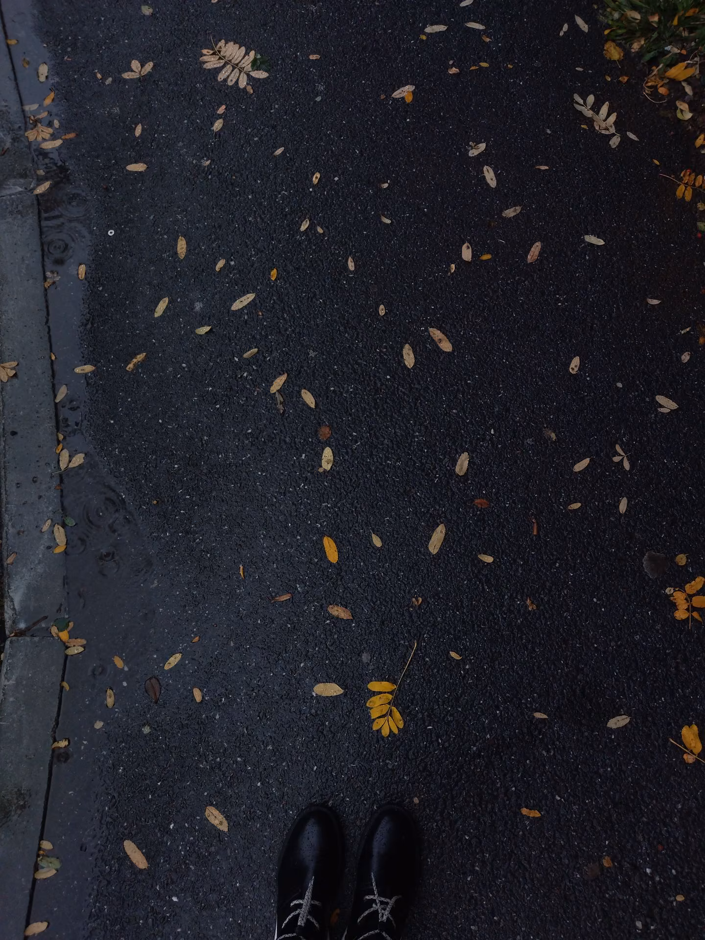 1b4a1dc8788a5d307c6012ec0a9ce62e.jpg