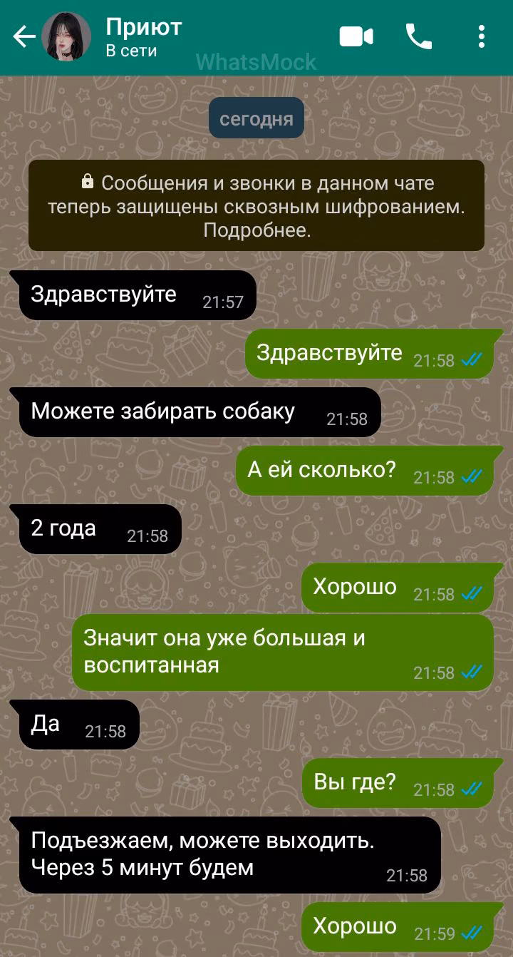 1b5160ac1dbb43c6238af91edbbaae06.jpg