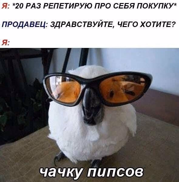1b69cad20b8ababddcf5879af61b3ee3.avif