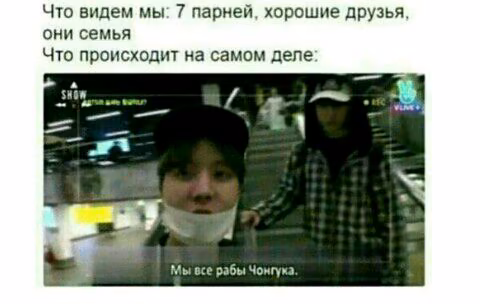 1b741eabed6ce95a0d4bcab0daa786ee.avif