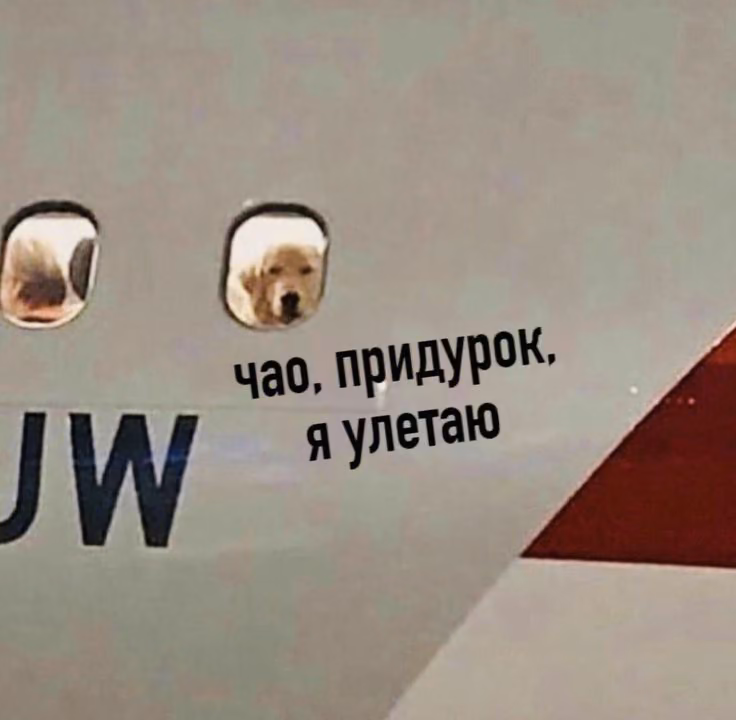 1b74f59f83fd8afc8cc52de2dd7c2423.jpg