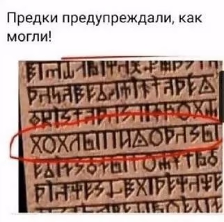 1ba1e2335fb1b6fd00a4778091a43c12.jpg
