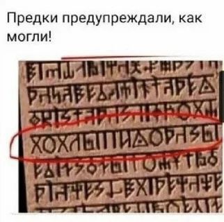 1ba1e2335fb1b6fd00a4778091a43c12.jpg