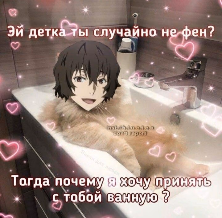 1ba66f01ce20e93c3bd469e59fc0db2a.avif