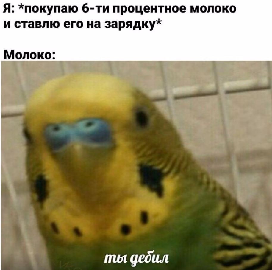 1bd7f7865acc210ce0b5a44454e2812d.jpg