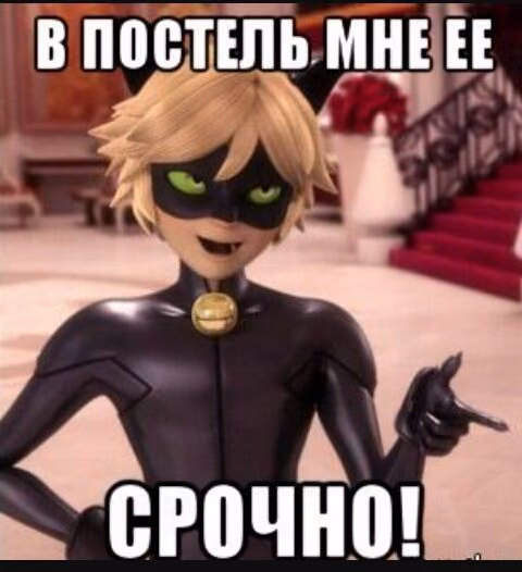 1bda74c2a9be0a3c00b1eaded03ebab4.avif