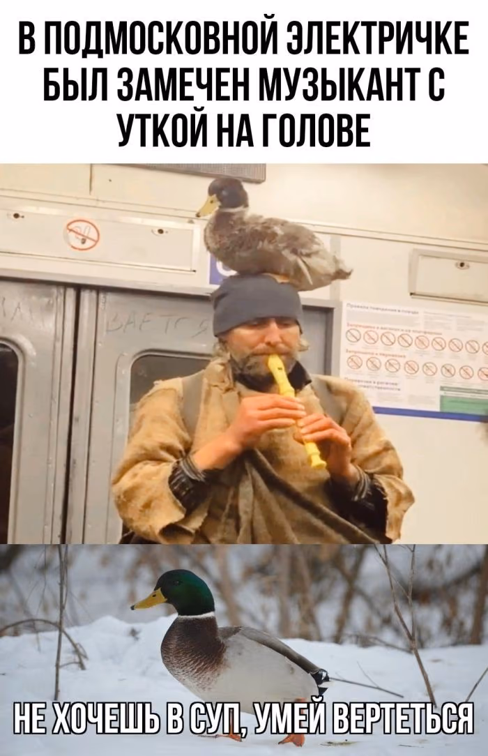 1bebf12c2e62813ee7e9353492509e3c.jpg