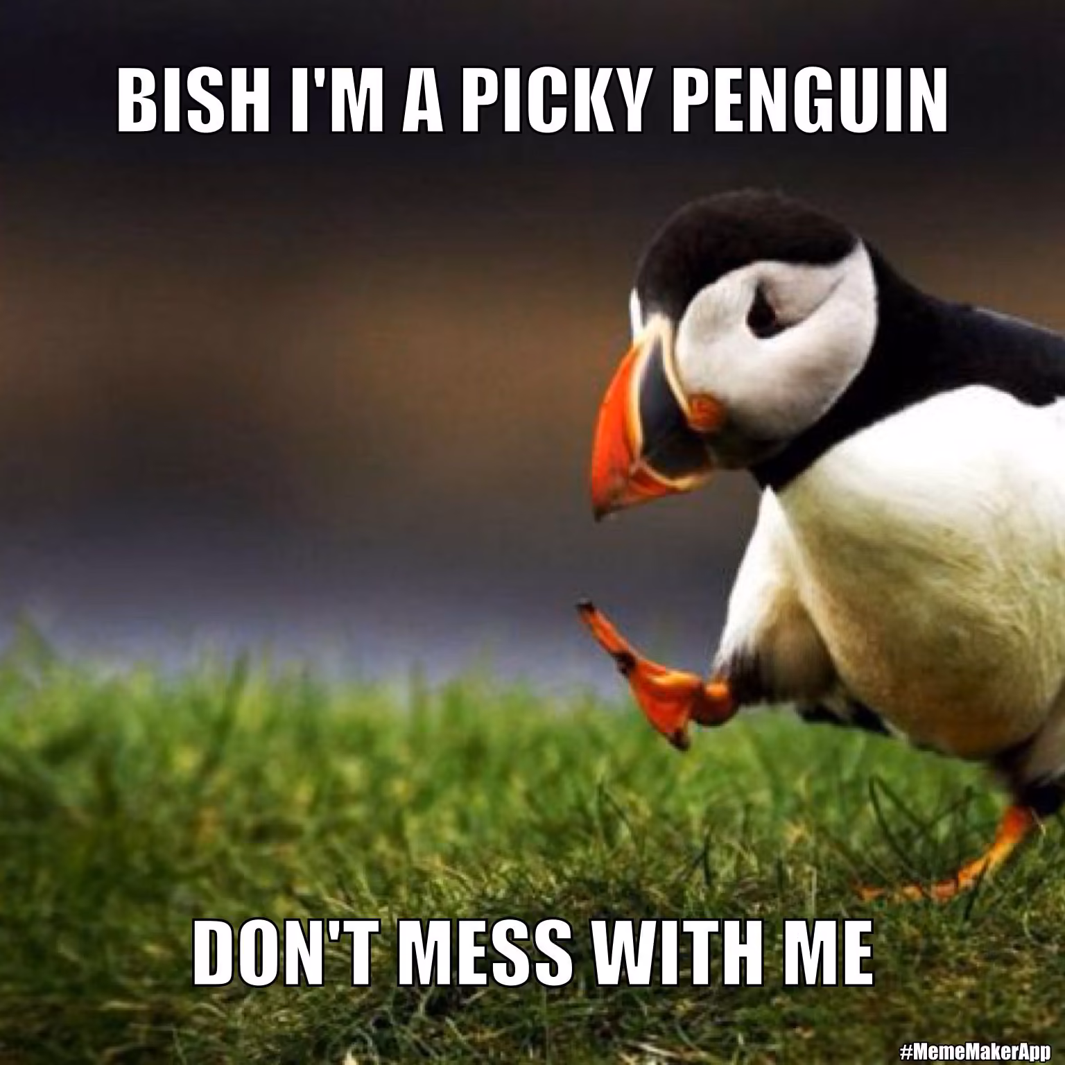 1bff3c7f53e729202ddeff14dad36353.jpg