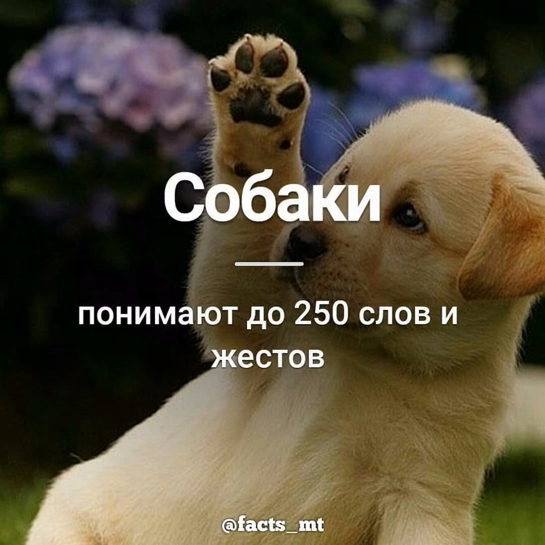 1c031d2797994e7a832aeade4535f87d.jpg
