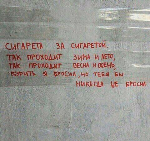 1c088df6e9b4e04319280165556c6e23.jpg