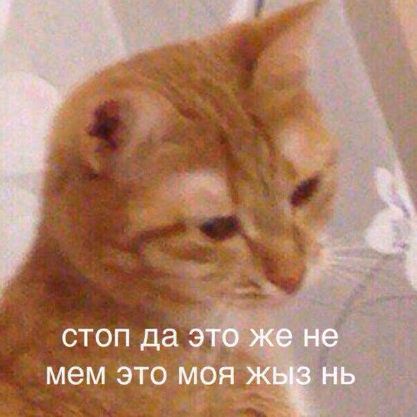 1c1176570397fd75d3d7cf053c09f78c.jpg