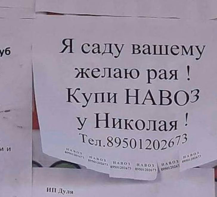 1c1adcff602bcad7f58d2dafe370a8c6.avif