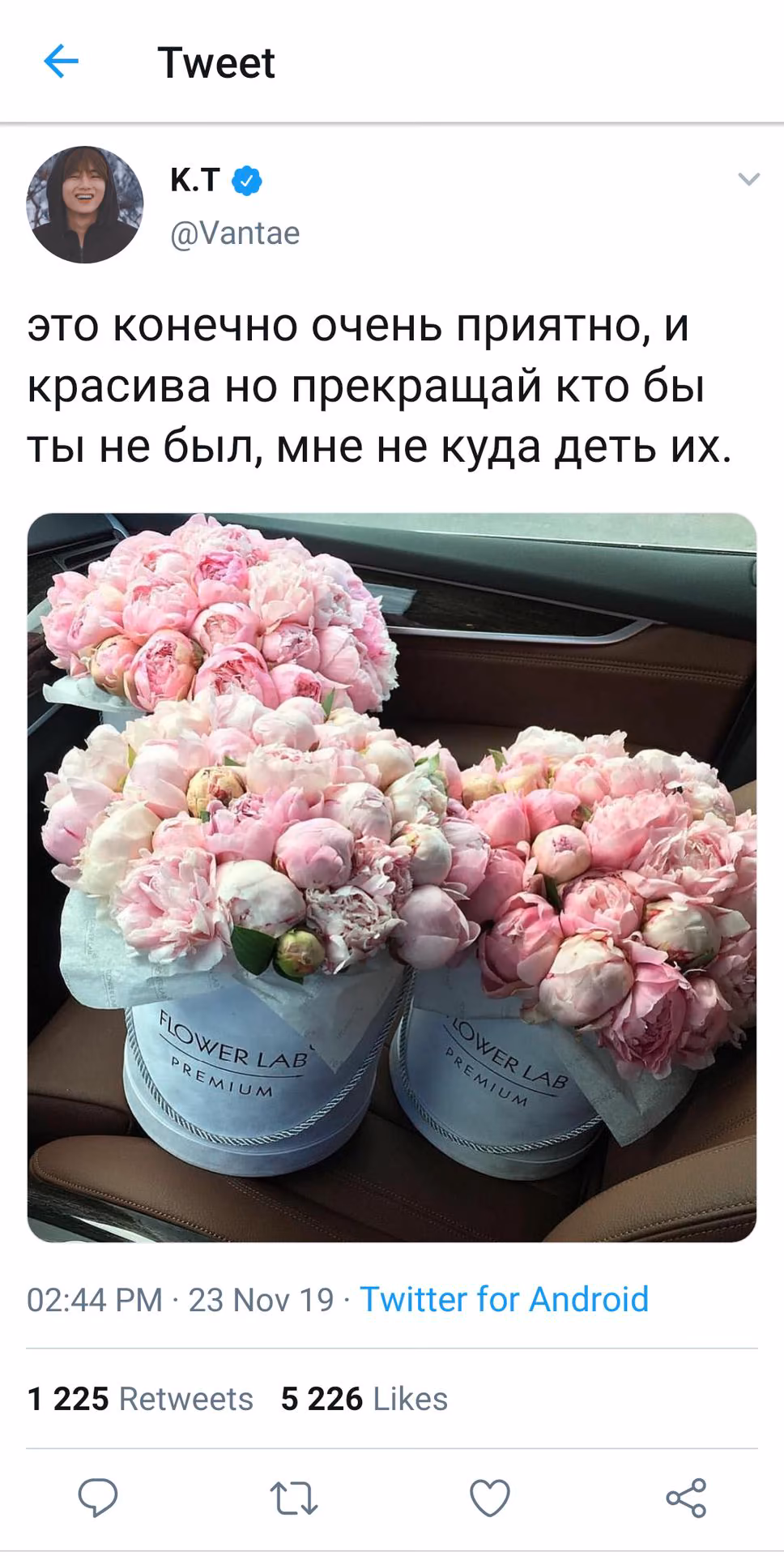 1c1c48e163bbca9d1b3530cd111e0380.avif