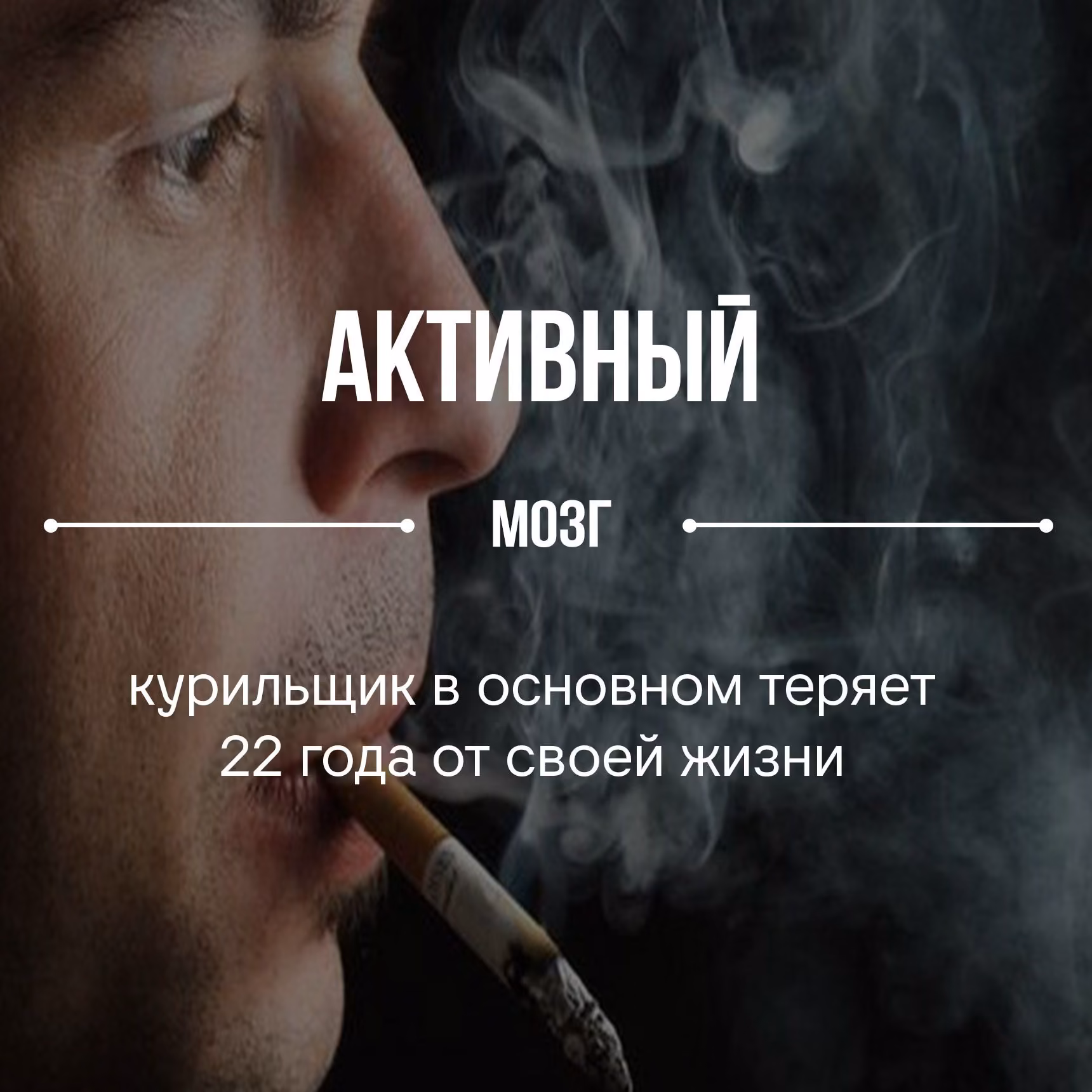 1c2f6b8daf8e1af7d45e2fe869b45fc8.jpg