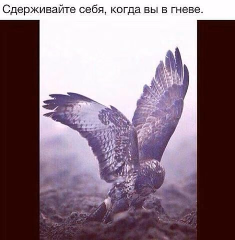 1c43df86d877040403152fc6bc92333b.jpg